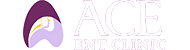 ACE website Logo footer